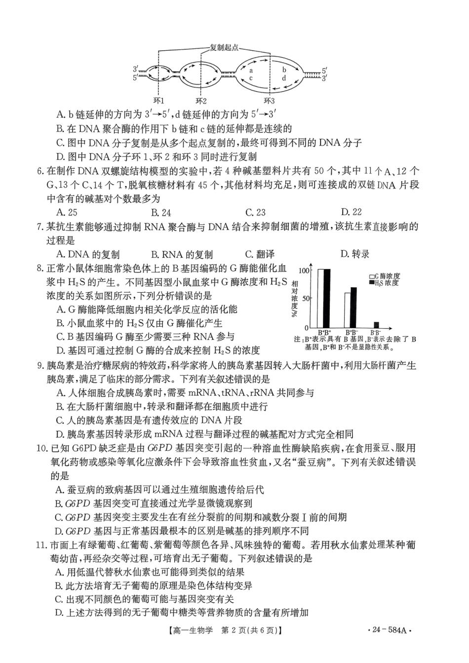 河南省创新发展联盟2023-2024学年高一下学期期末检测（584A）_扫描件_生物学试卷.pdf_第2页