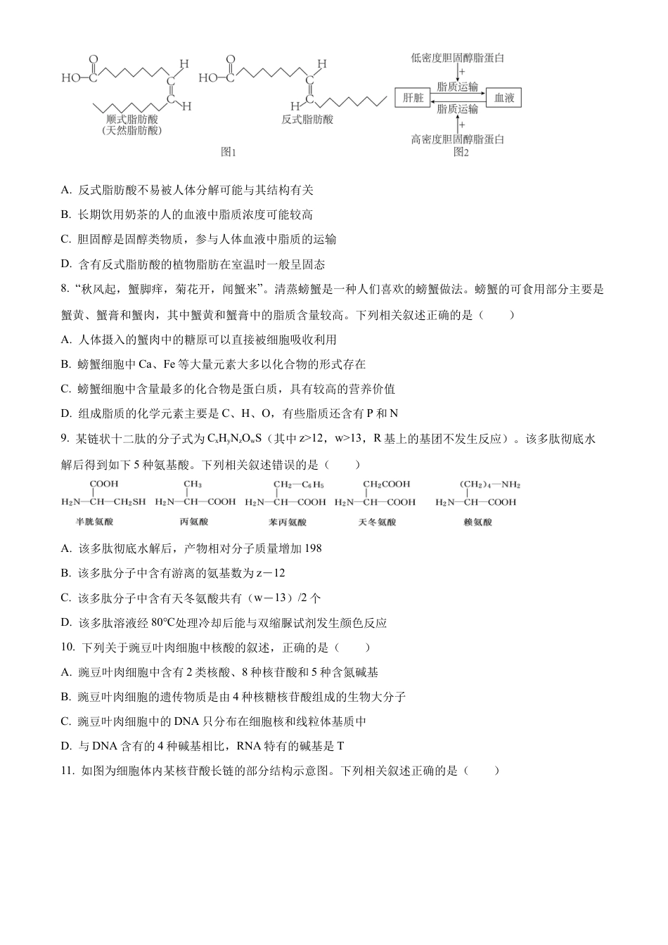 河南省九师联考2024-2025学年高一上学期11月期中生物试题  Word版无答案.docx_第3页