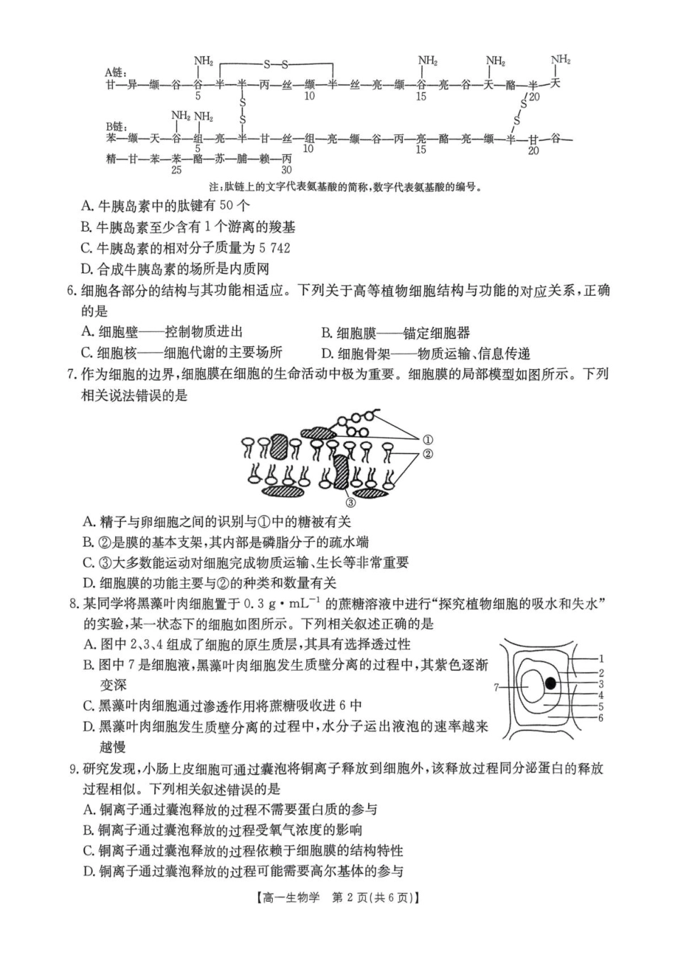 河南省名校大联考2024-2025学年高一下学期开学考试生物试题.pdf_第2页