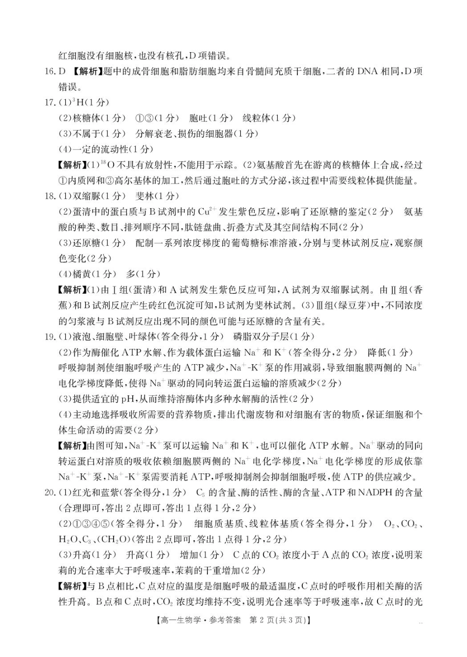 河南省名校大联考2024-2025学年高一下学期开学考试生物学试题（pdf版，含解析）_生物学答案 (1).pdf_第2页