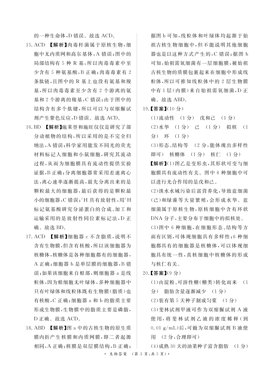 河南省普通高中2024-2025学年高一上学期11月期中考试生物试题_11月高一联考生物 答案..pdf_第3页