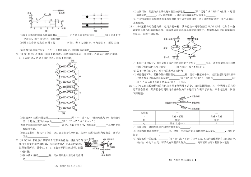 河南省新乡市2023-2024学年高一下学期期末考试生物试题.docx_第3页