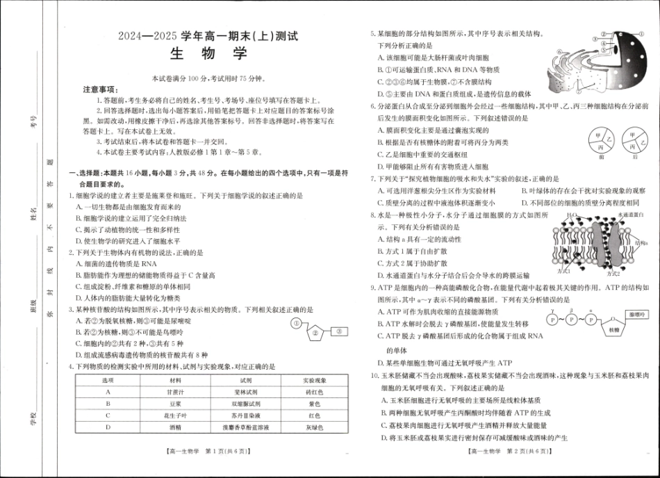 河南省新乡市2024-2025学年高一上学期期末考试 生物 PDF版无答案.pdf_第1页
