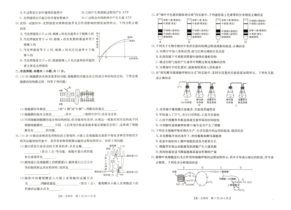 河南省新乡市2024-2025学年高一上学期期末考试 生物 PDF版无答案.pdf_第2页