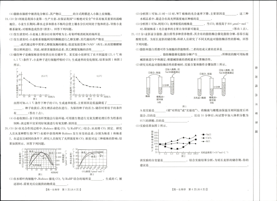 河南省新乡市2024-2025学年高一上学期期末考试 生物 PDF版无答案.pdf_第3页