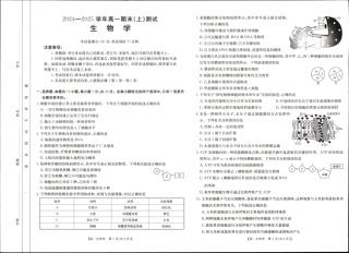 河南省新乡市2024-2025学年高一上学期期末考试 生物 PDF版无答案.pdf