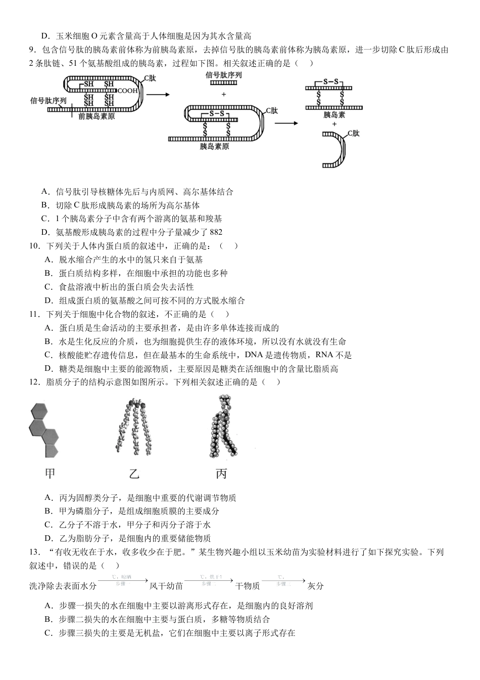 河南省许昌高级中学2024-2025学年高一上学期10月月考试题 生物 Word版含解析.docx_第3页