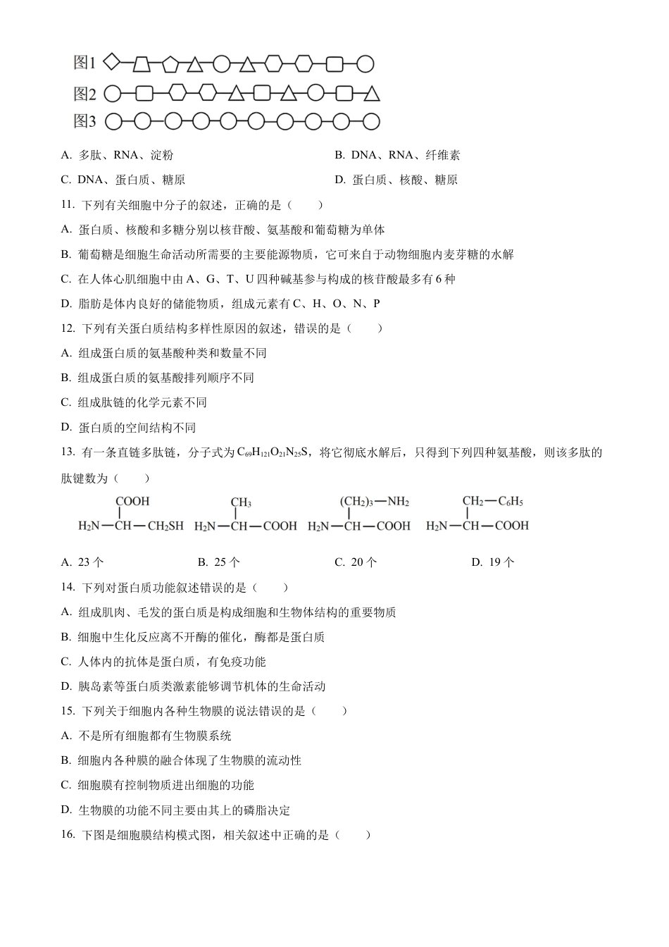河南省郑州市十校2024-2025学年高一上学期期中联考生物试卷  Word版无答案.docx_第3页