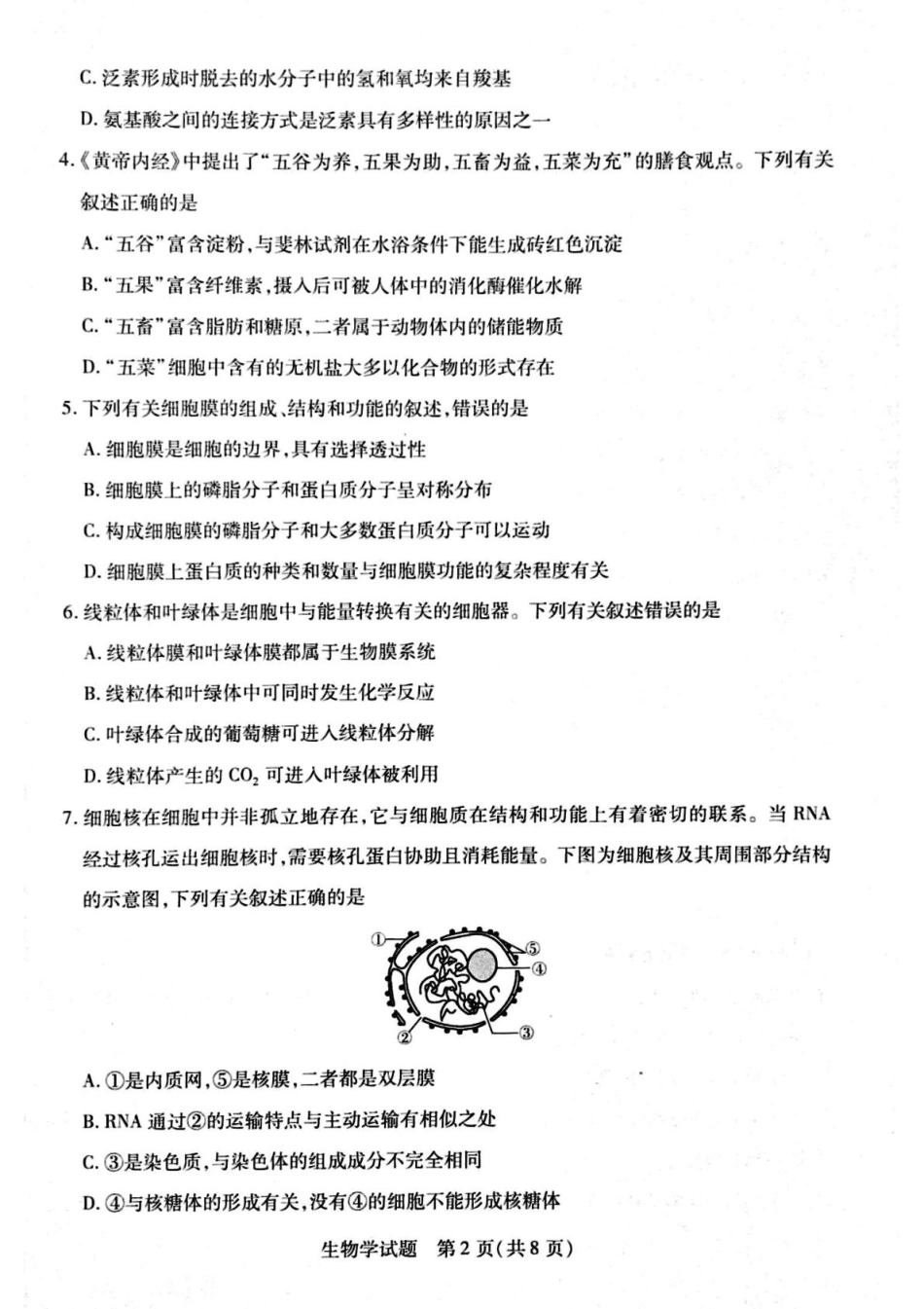 河南省周口市2024-2025学年高一上学期1月期末考试 生物 PDF版含解析.pdf_第2页