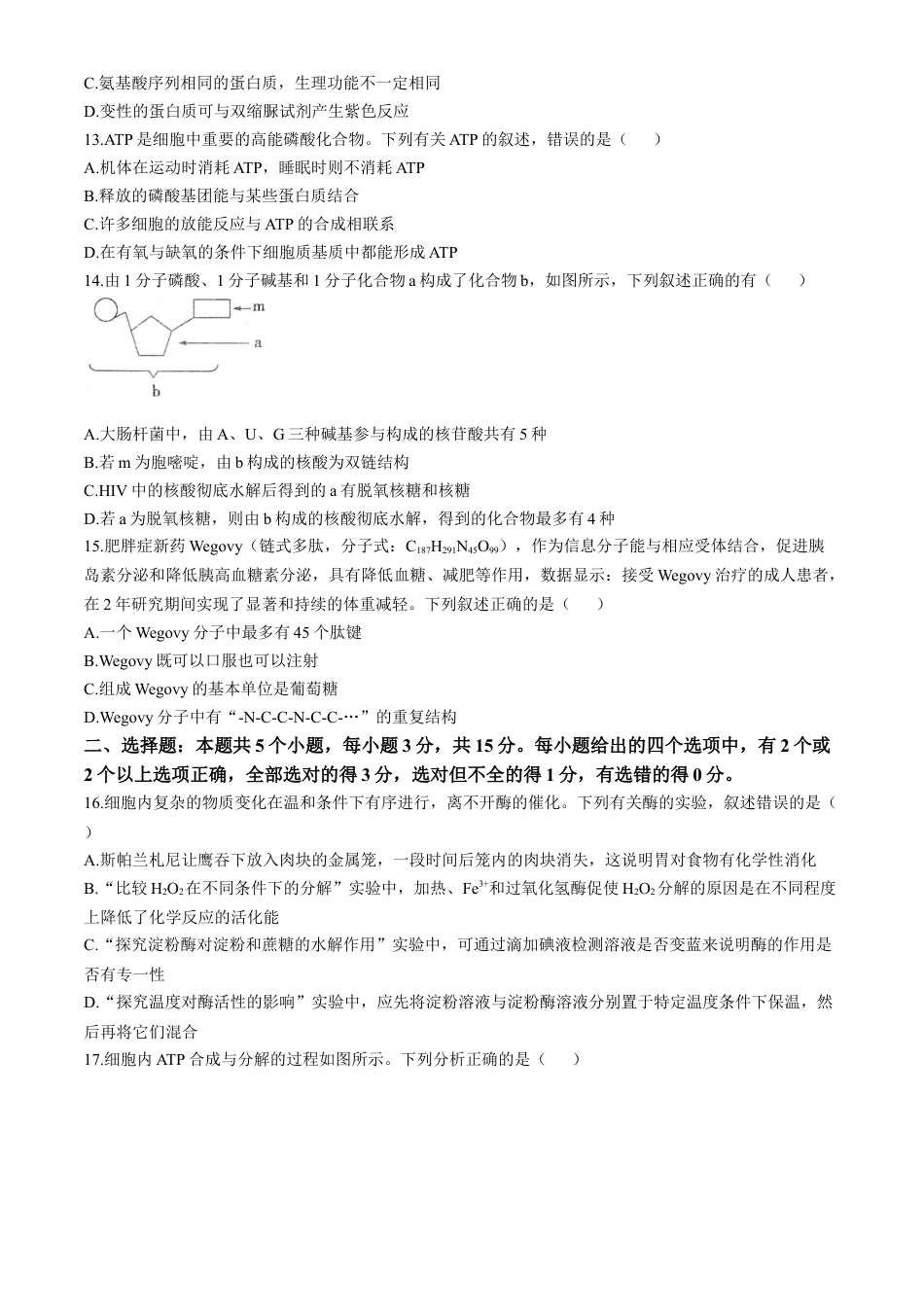 河南省周口市鹿邑县2024-2025学年高一上学期11月期中考试 生物 Word版含答案.docx_第3页