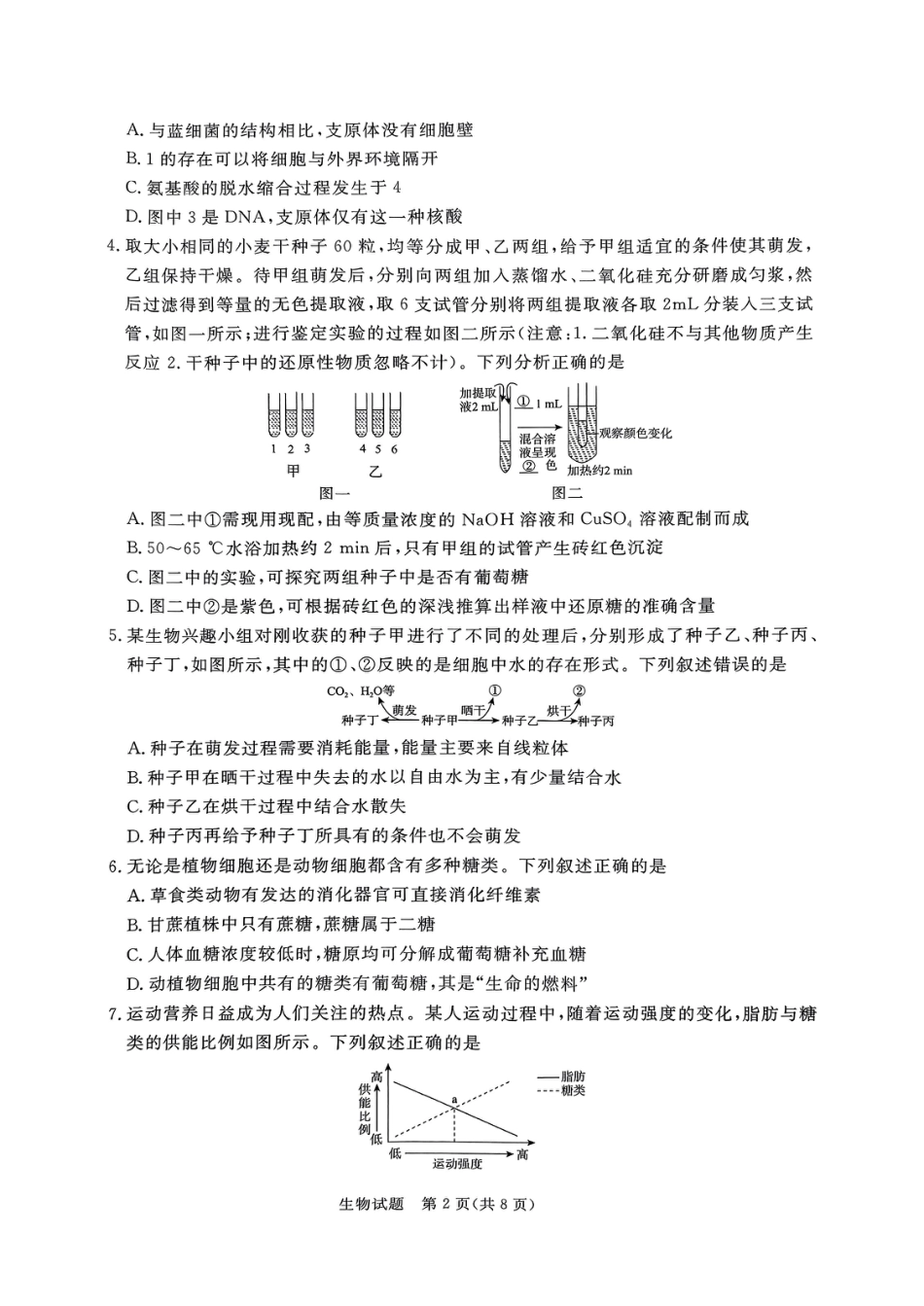 河南驻马店2024-2025学年（上）高一年级期中考试生物试题.pdf_第2页