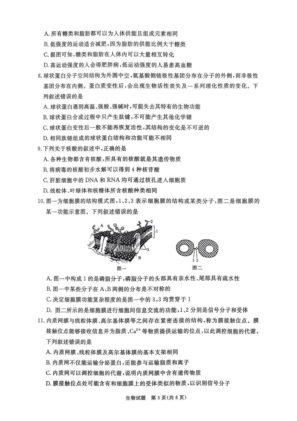 河南驻马店2024-2025学年（上）高一年级期中考试生物试题.pdf_第3页
