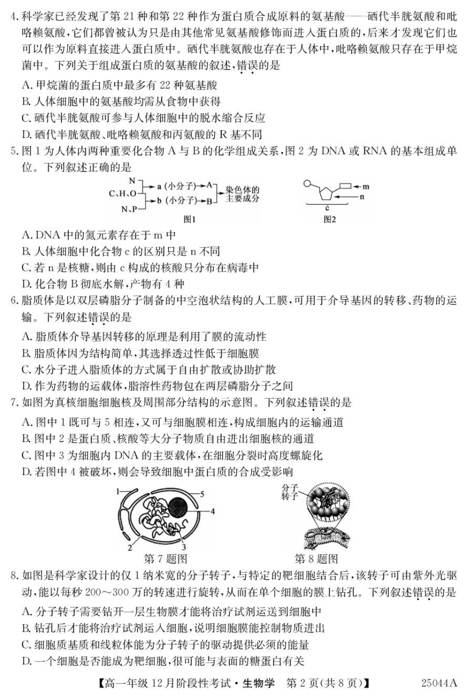 黑龙江省2024-2025学年高一上学期12月月考试题 生物 PDF版含解析.pdf_第2页