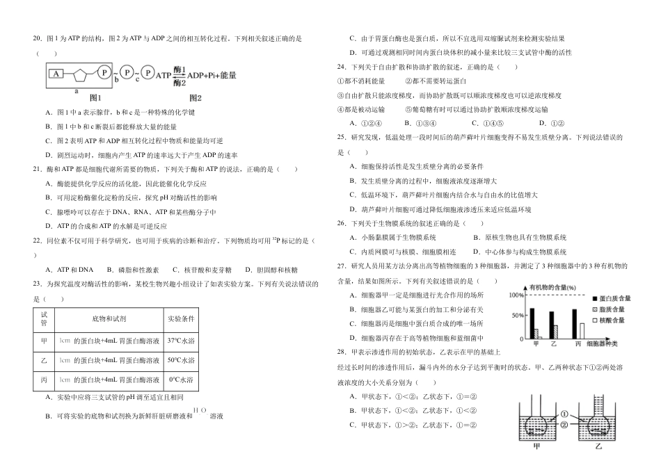 黑龙江省大庆市大庆中学2024-2025学年高一上学期1月期末考试  生物  Word版含答案_高一生物期末考试题.docx_第3页