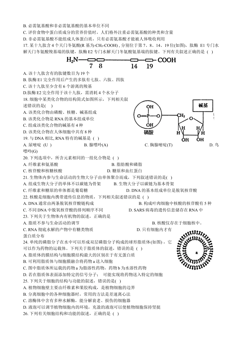 黑龙江省大庆市实验中学2024~2025学年高一上学期阶段考试生物试卷.docx_第3页