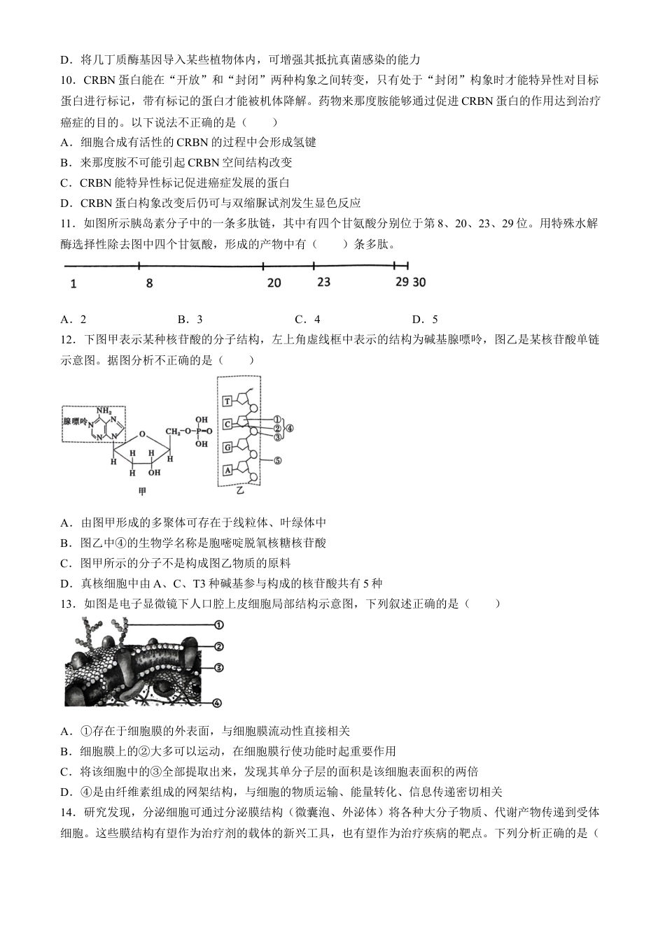 湖北省鄂东南省级示范高中教育教学改革联盟学校2024-2025学年高一上学期期中联考生物试题 Word版含答案.docx_第3页