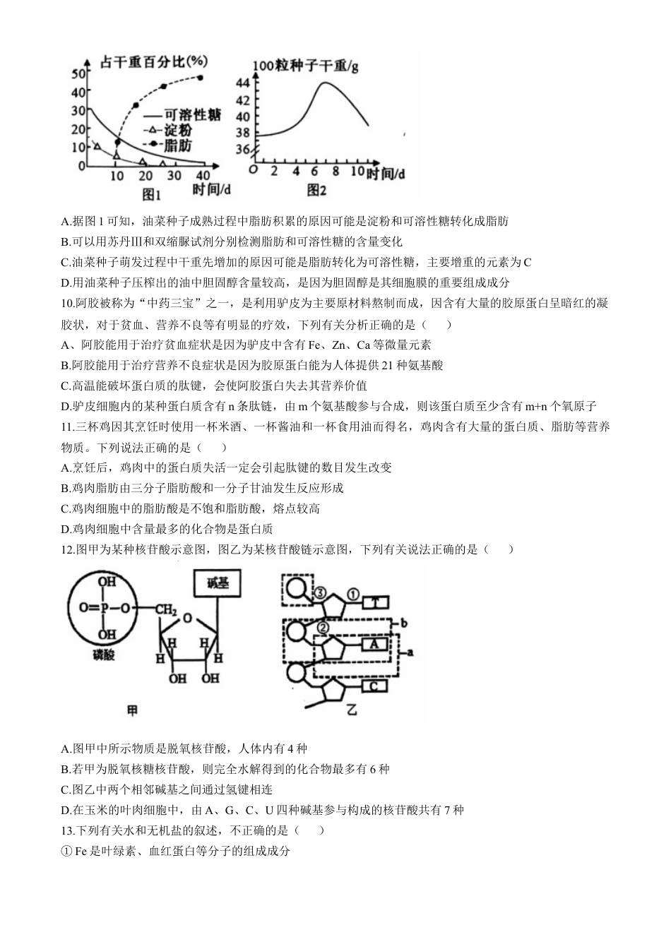 湖北省十堰市六县市区一中教联体2024-2025学年高一上学期11月联考试题 生物 Word版含答案.docx_第3页