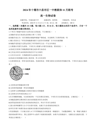 湖北省十堰市六县市区一中教联体2024-2025学年高一上学期11月联考试题 生物 Word版含答案.docx
