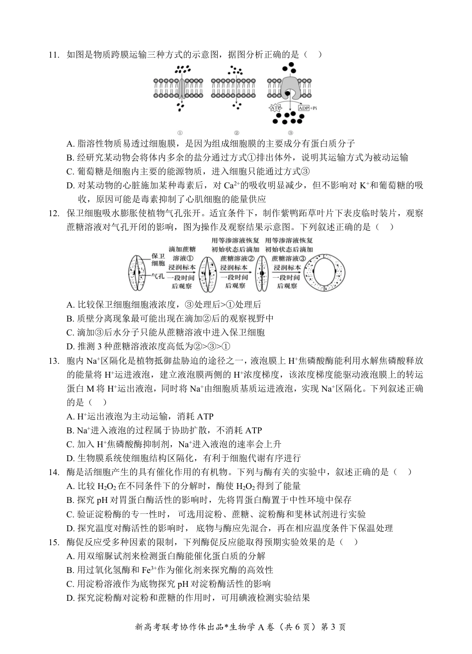湖北省新高考联考协作体2024-2025学年高一上学期12月联考生物试卷含答案_高一生物A卷试题.pdf_第3页