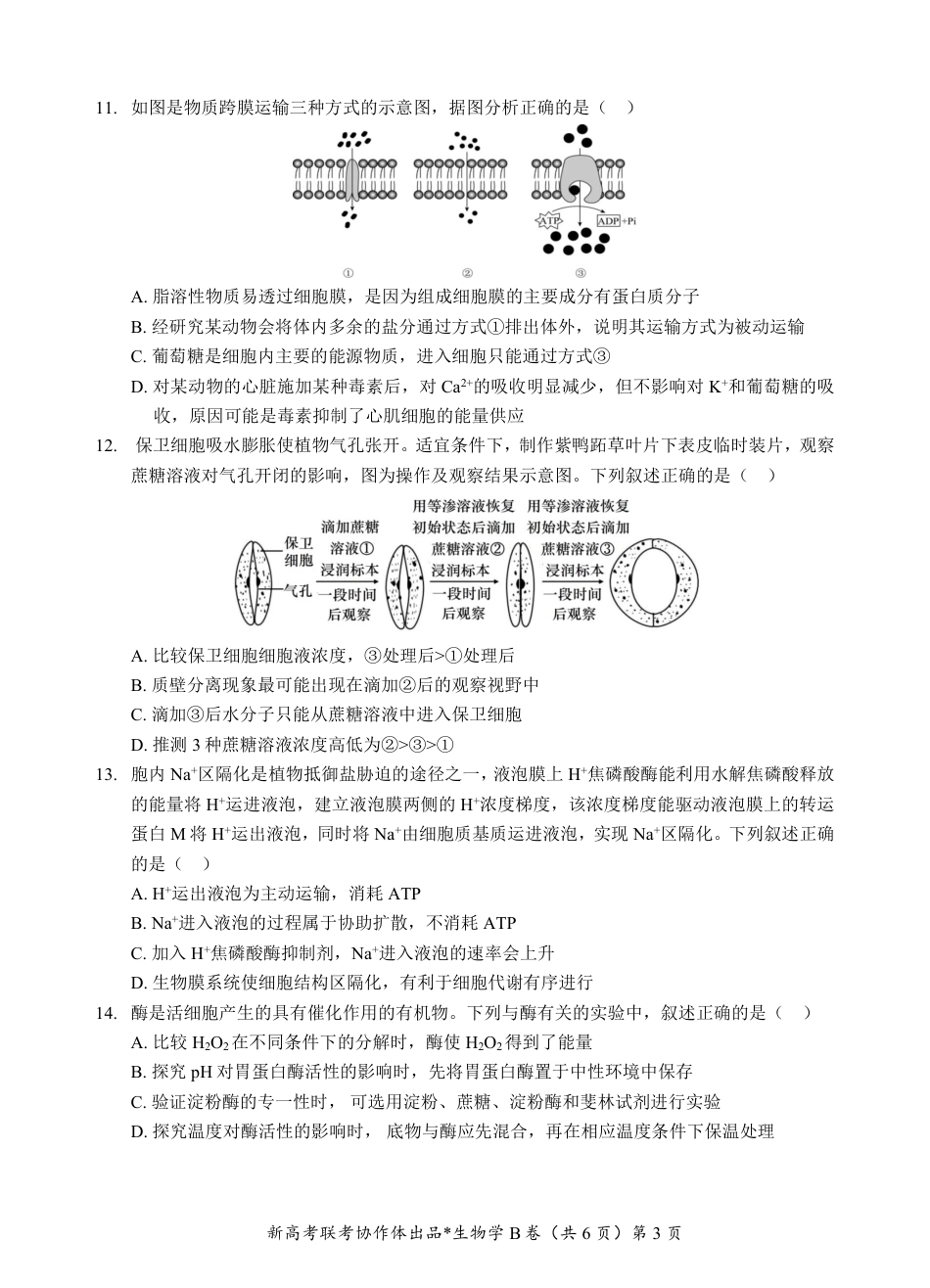 湖北省新高考联考协作体2024-2025学年高一上学期12月联考生物试卷含答案_高一生物B卷试题.pdf_第3页