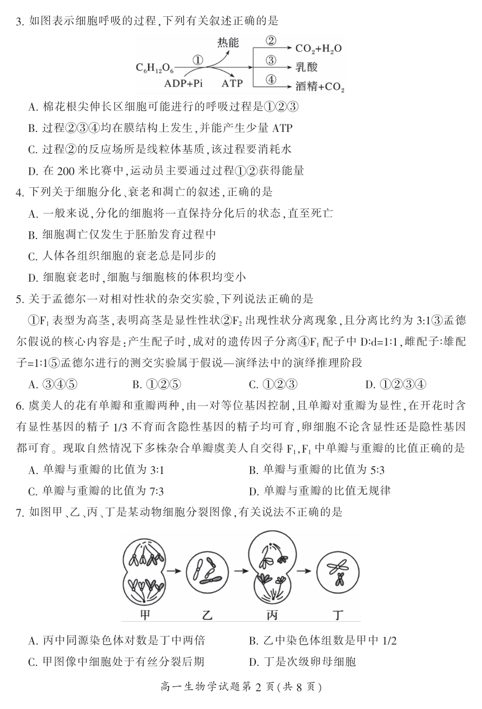 湖南省郴州市2023-2024学年高一下学期期末考试生物试题.pdf_第2页