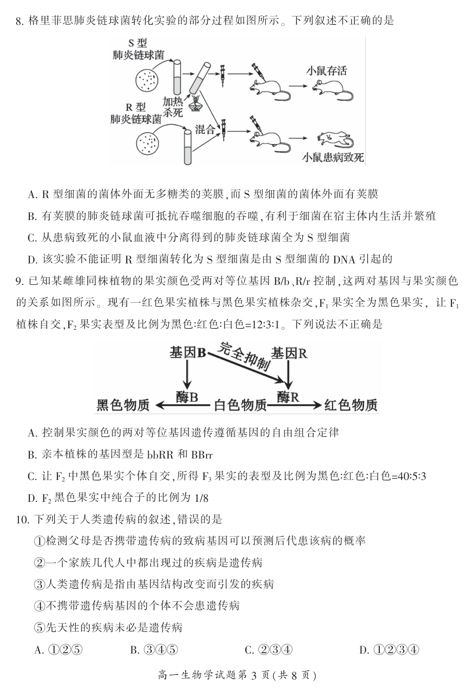 湖南省郴州市2023-2024学年高一下学期期末考试生物试题.pdf_第3页