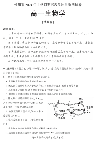 湖南省郴州市2023-2024学年高一下学期期末考试生物试题.pdf