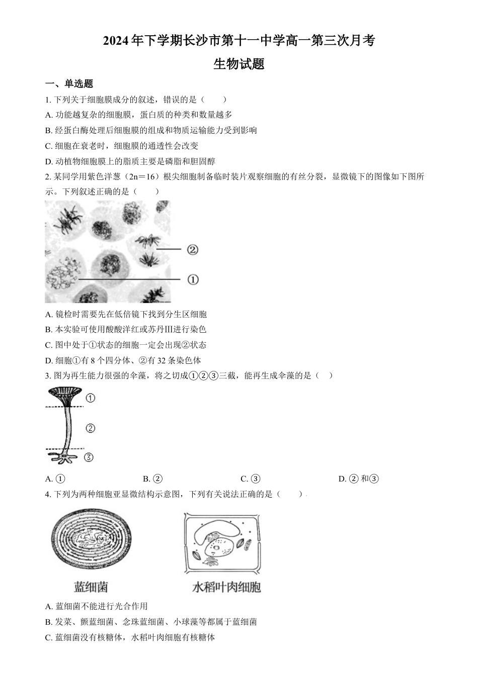 湖南省长沙市第十一中学2024-2025学年高一上学期12月月考生物试题（原卷版）.docx_第1页