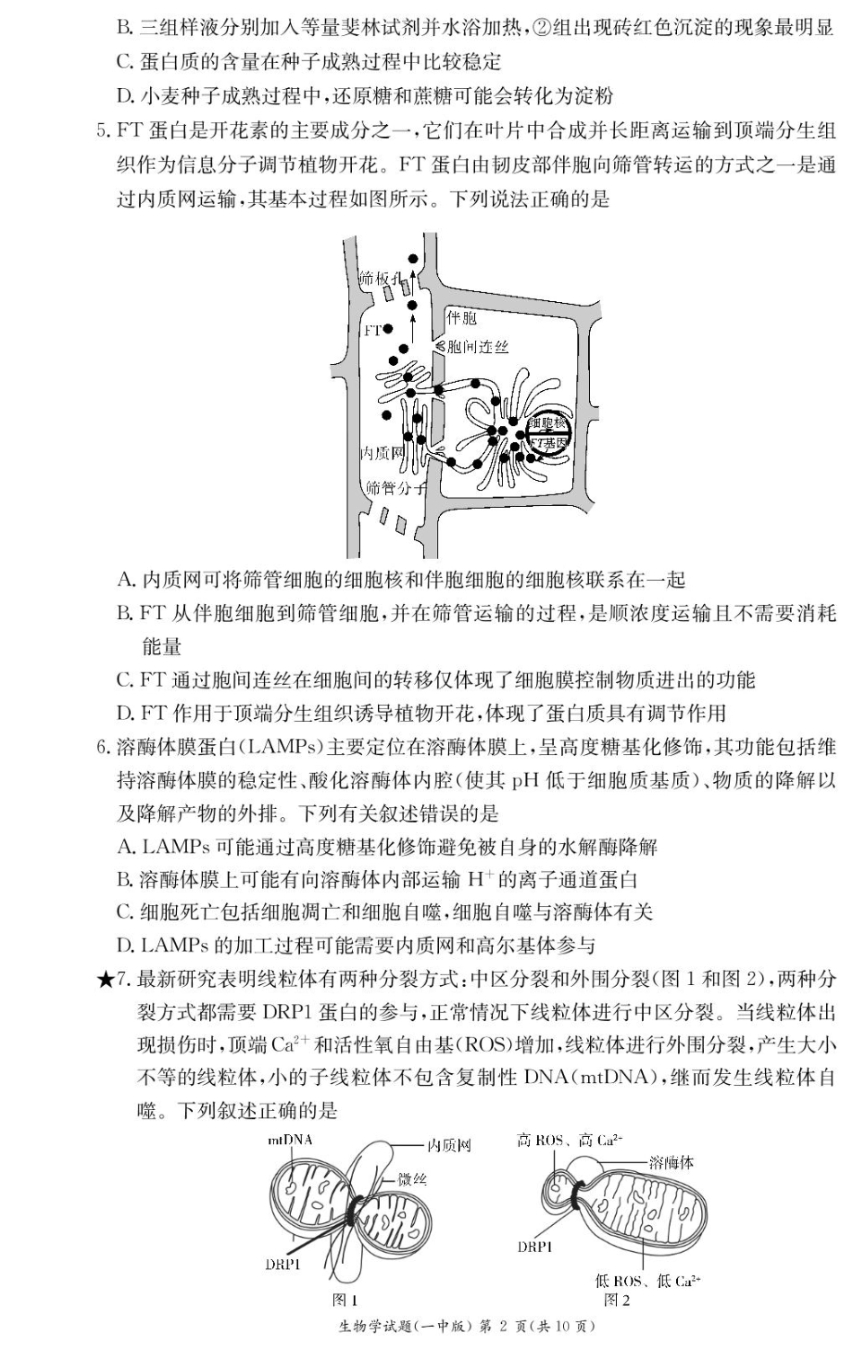 湖南省长沙市第一中学2024-2025学年高一下学期入学考试生物试题（PDF版，含答案）_生物试卷（高一入学Y）.pdf_第2页
