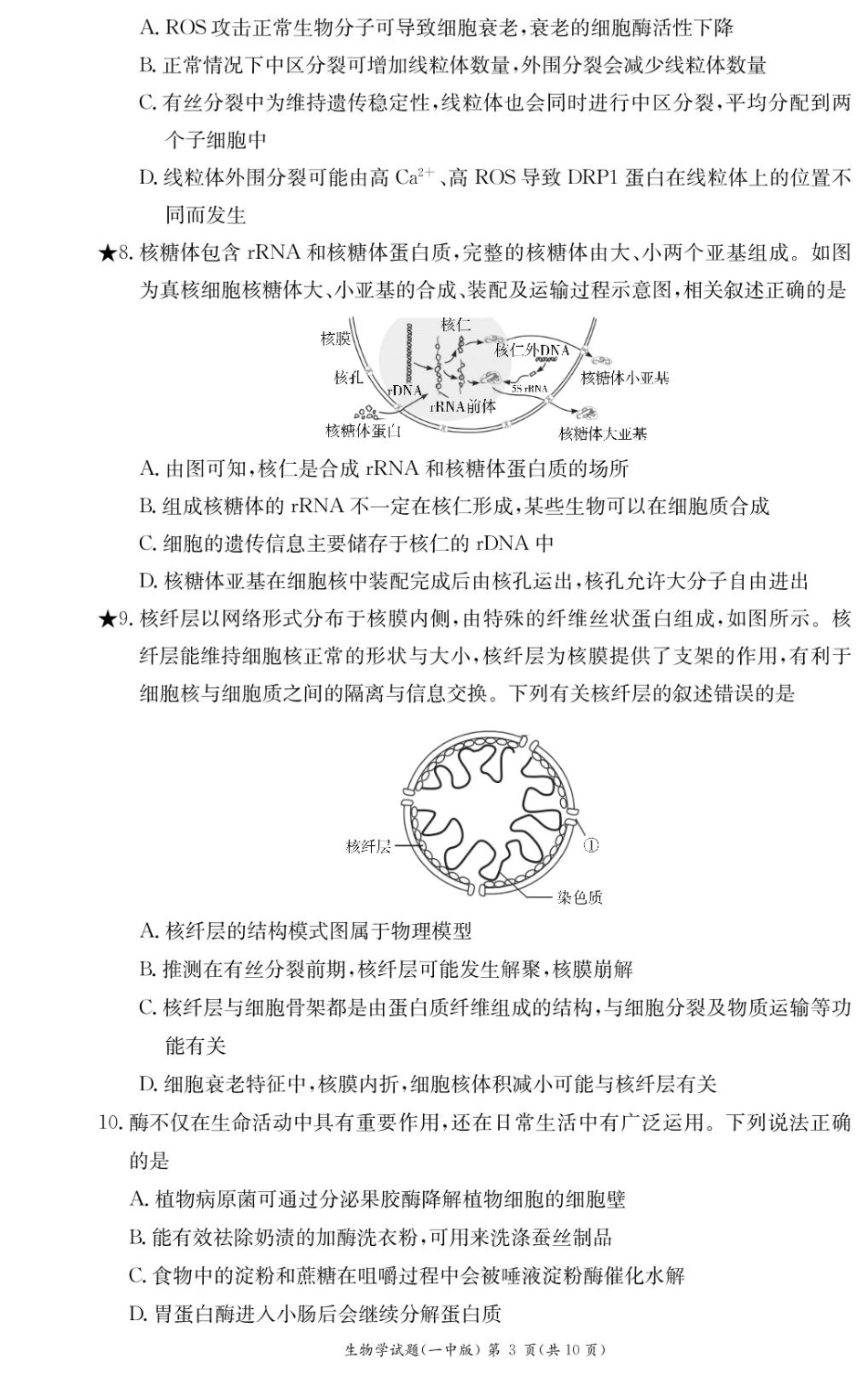 湖南省长沙市第一中学2024-2025学年高一下学期入学考试生物试题（PDF版，含答案）_生物试卷（高一入学Y）.pdf_第3页