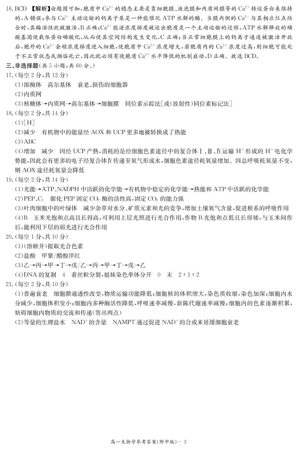 湖南师范大学附属中学2024-2025学年高一下学期入学考试生物学试题（PDF版，含答案）_生物答案（附中高一入学2期）.pdf_第3页