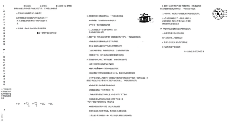 吉黑十校联考2024~2025学年度第一学期期中考试   生物（含答案）_纯图版.pdf_第2页
