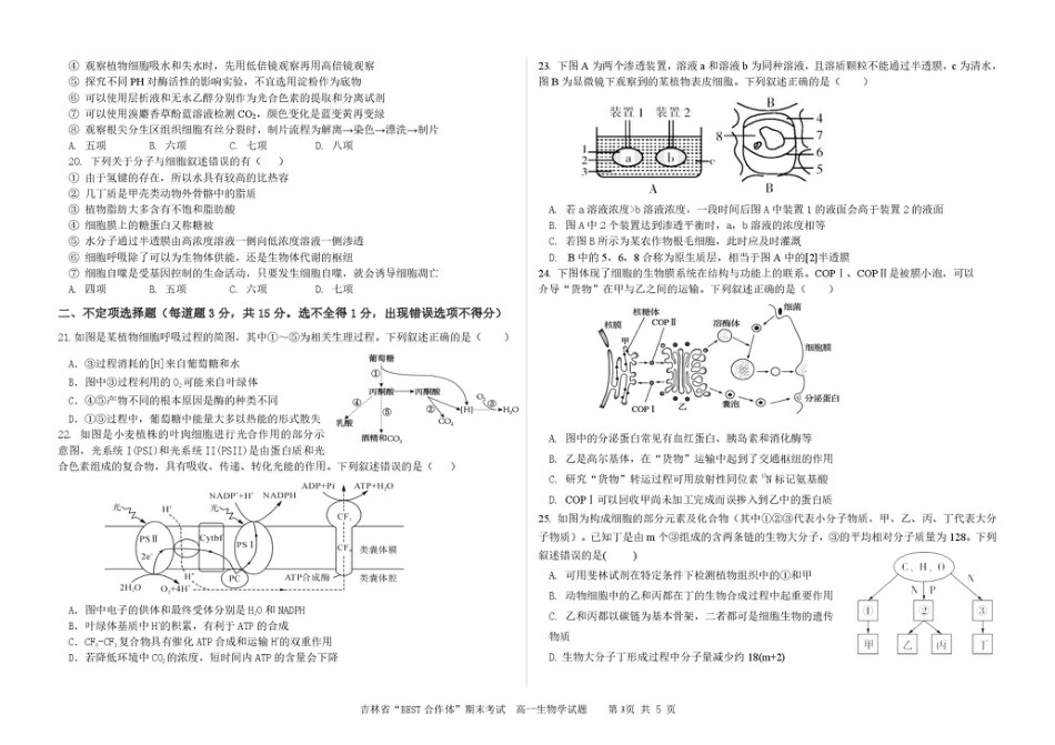 吉林省“BEST合作体”2024-2025学年高一上学期期末考试 生物 PDF版含答案.pdf_第3页