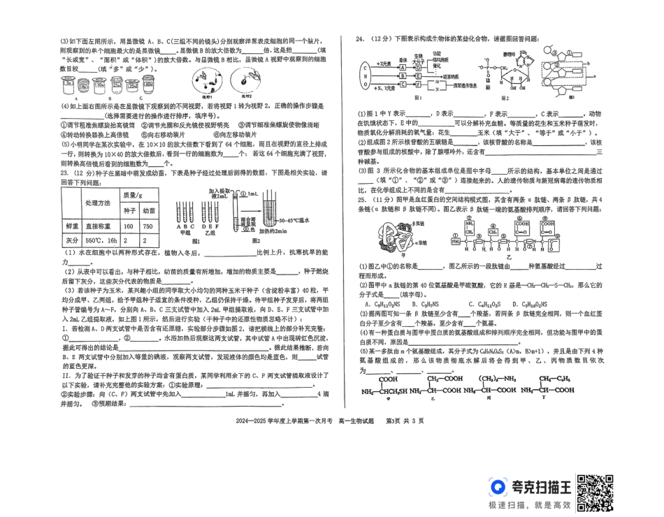 吉林省部分学校2024-2025学年高一上学期10月月考生物试题.docx_扫描件_高一生物试题.pdf_第3页