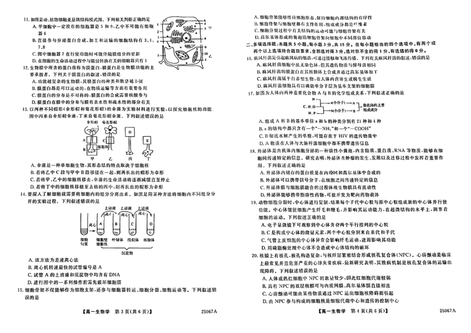 吉林省四平市普通高中2024-2025学年高一上学期期中教学质量检测生物试题.pdf_第2页
