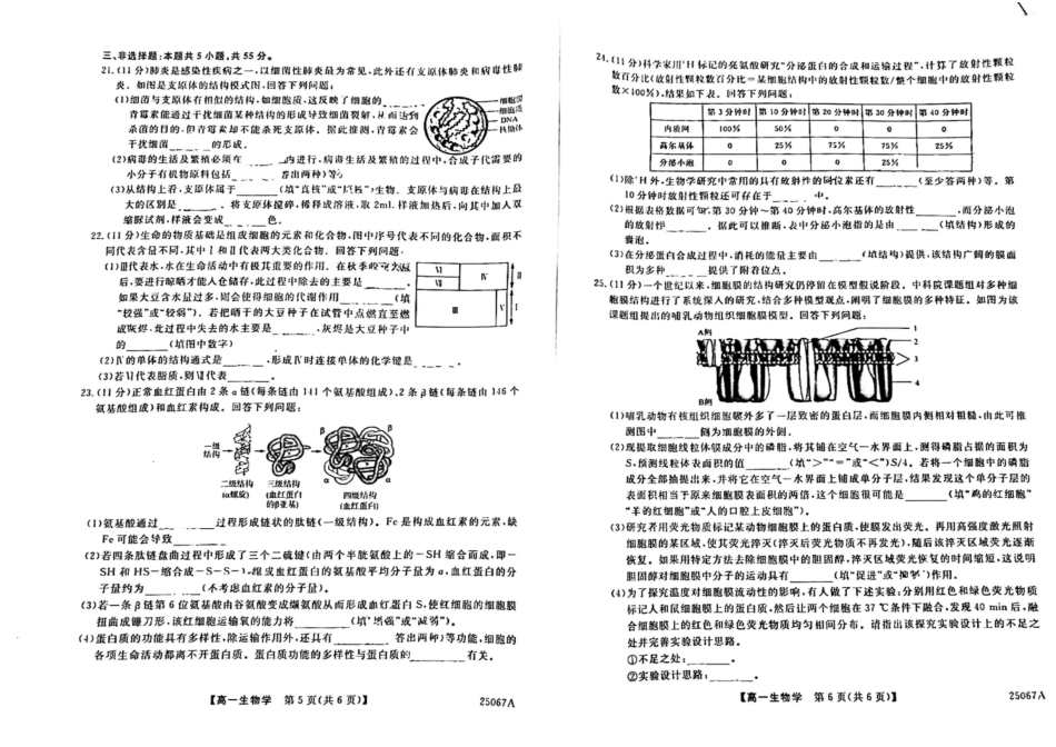 吉林省四平市普通高中2024-2025学年高一上学期期中教学质量检测生物试题.pdf_第3页