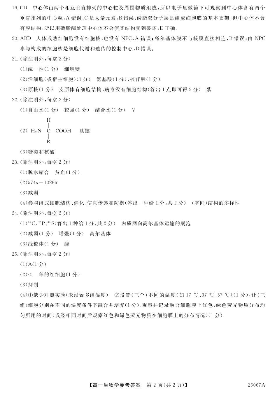 吉林省四平市普通高中2024-2025学年高一上学期期中教学质量检测试题  生物  Word版含答案_参考答案.pdf_第2页