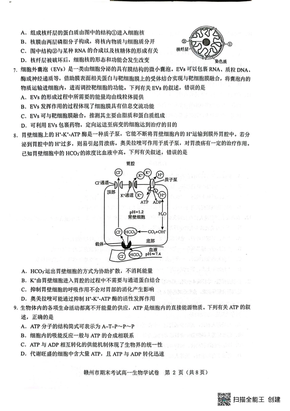 江西省赣州市2024-2025学年高一上学期1月期末考试  生物  PDF版含解析_高一生物 高一生物.pdf_第2页