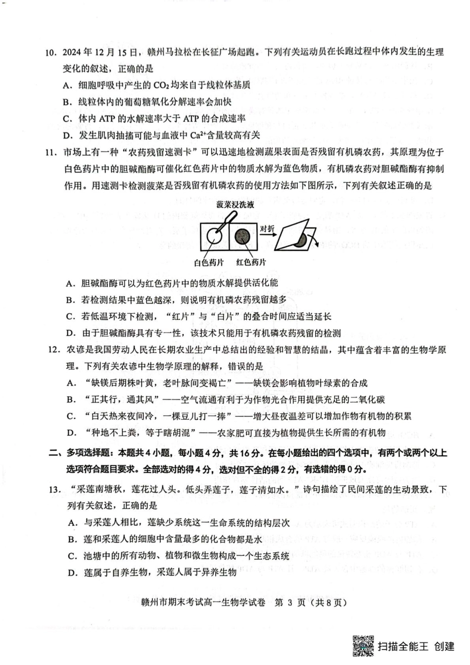 江西省赣州市2024-2025学年高一上学期1月期末考试  生物  PDF版含解析_高一生物 高一生物.pdf_第3页