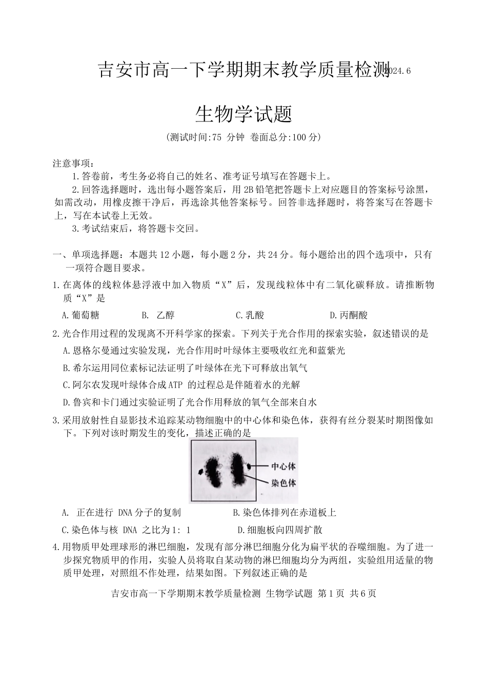江西省吉安市2023-2024学年高一下学期期末检测生物试题.docx_第1页