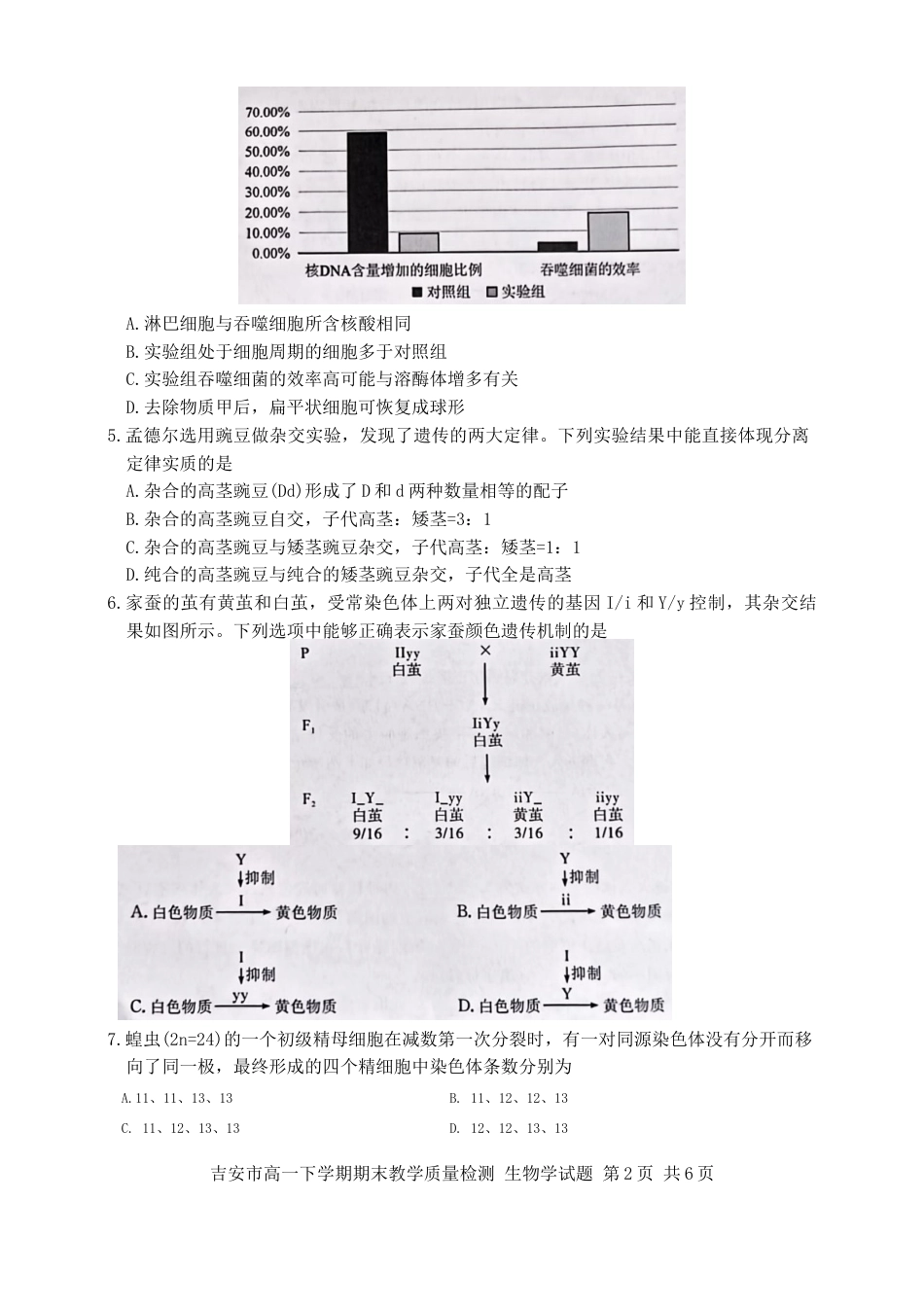 江西省吉安市2023-2024学年高一下学期期末检测生物试题.docx_第2页