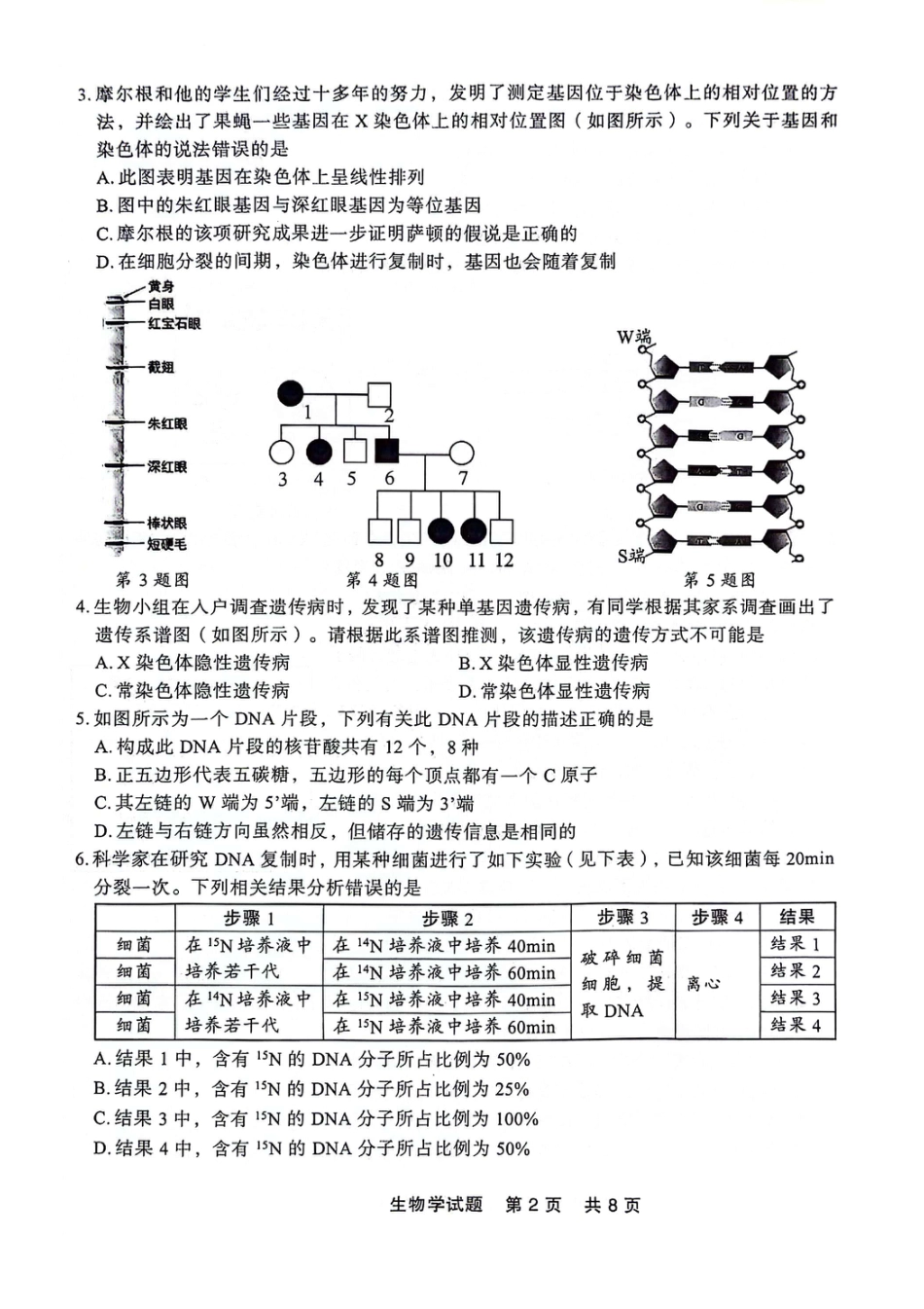 辽宁省部分高中2023-2024学年高一下学期期末点石联考_高一生物.pdf_第2页