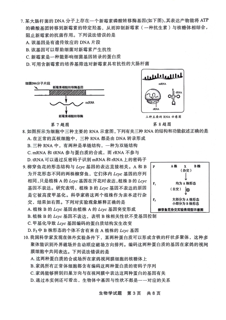辽宁省部分高中2023-2024学年高一下学期期末点石联考_高一生物.pdf_第3页