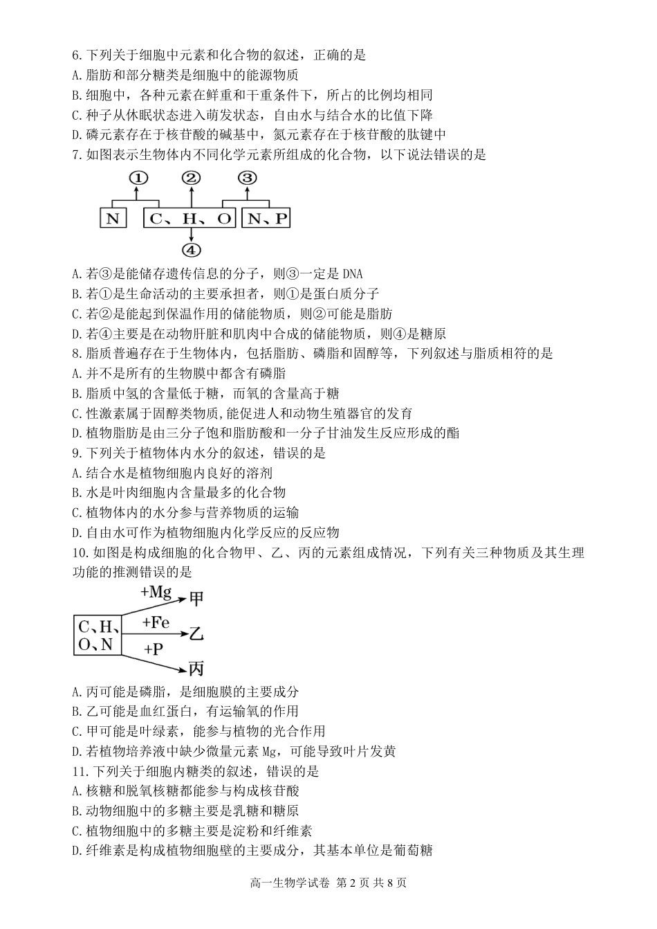 辽宁省丹东市2024-2025学年高一上学期教学质量调研测试生物试卷.pdf_第2页