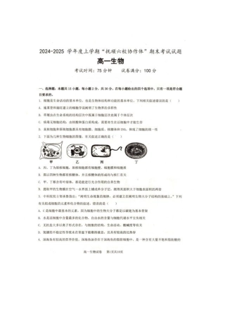 辽宁省抚顺市省重点高中六校协作体2024-2025学年高一上学期期末考试 生物 PDF版含答案.pdf