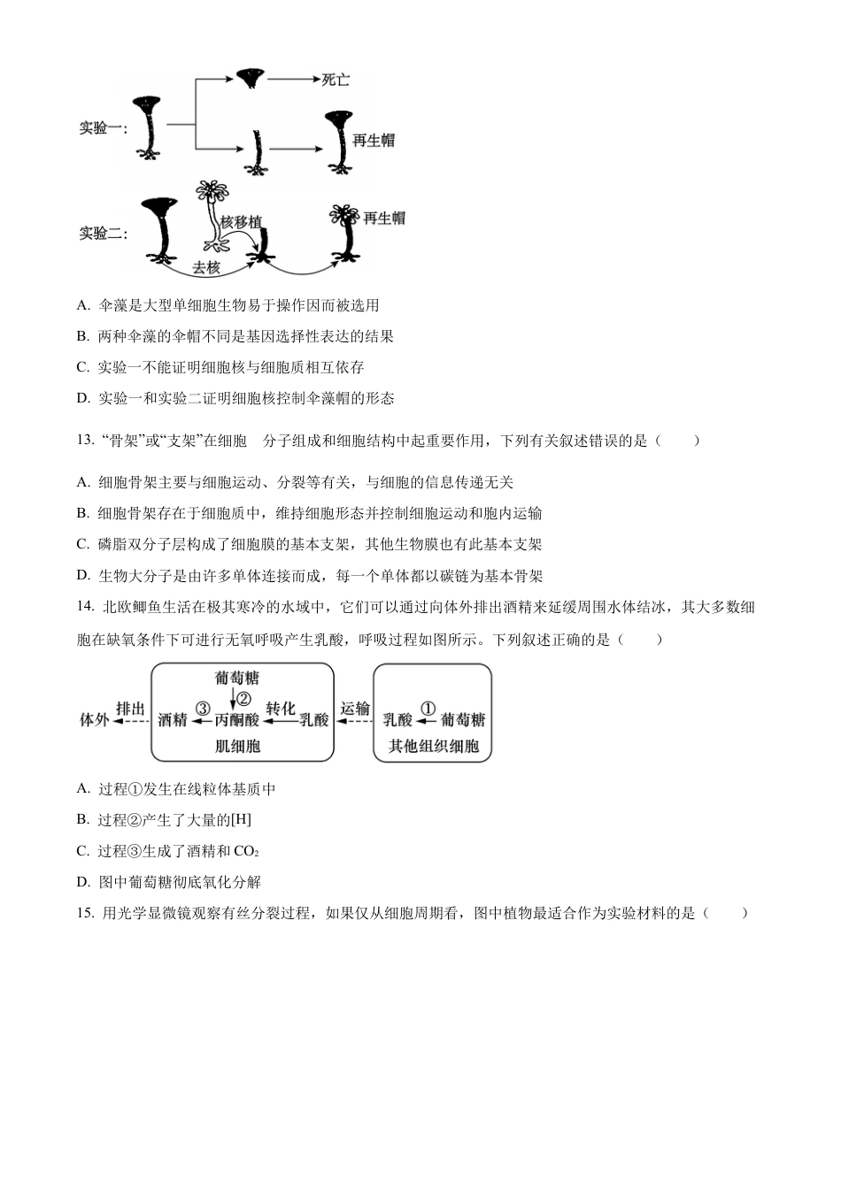 辽宁省葫芦岛市2024-2025学年高一上学期1月期末考试生物学试卷（含答案）.docx_第3页