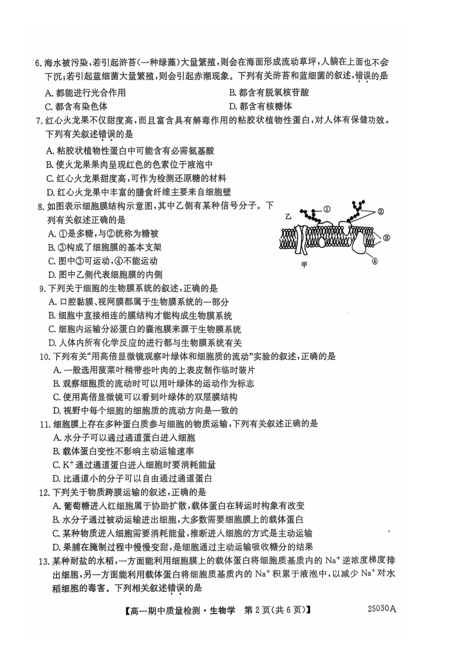 辽宁省锦州市某校2024-2025学年高一上学期期中质量检测生物试卷.docx_第2页