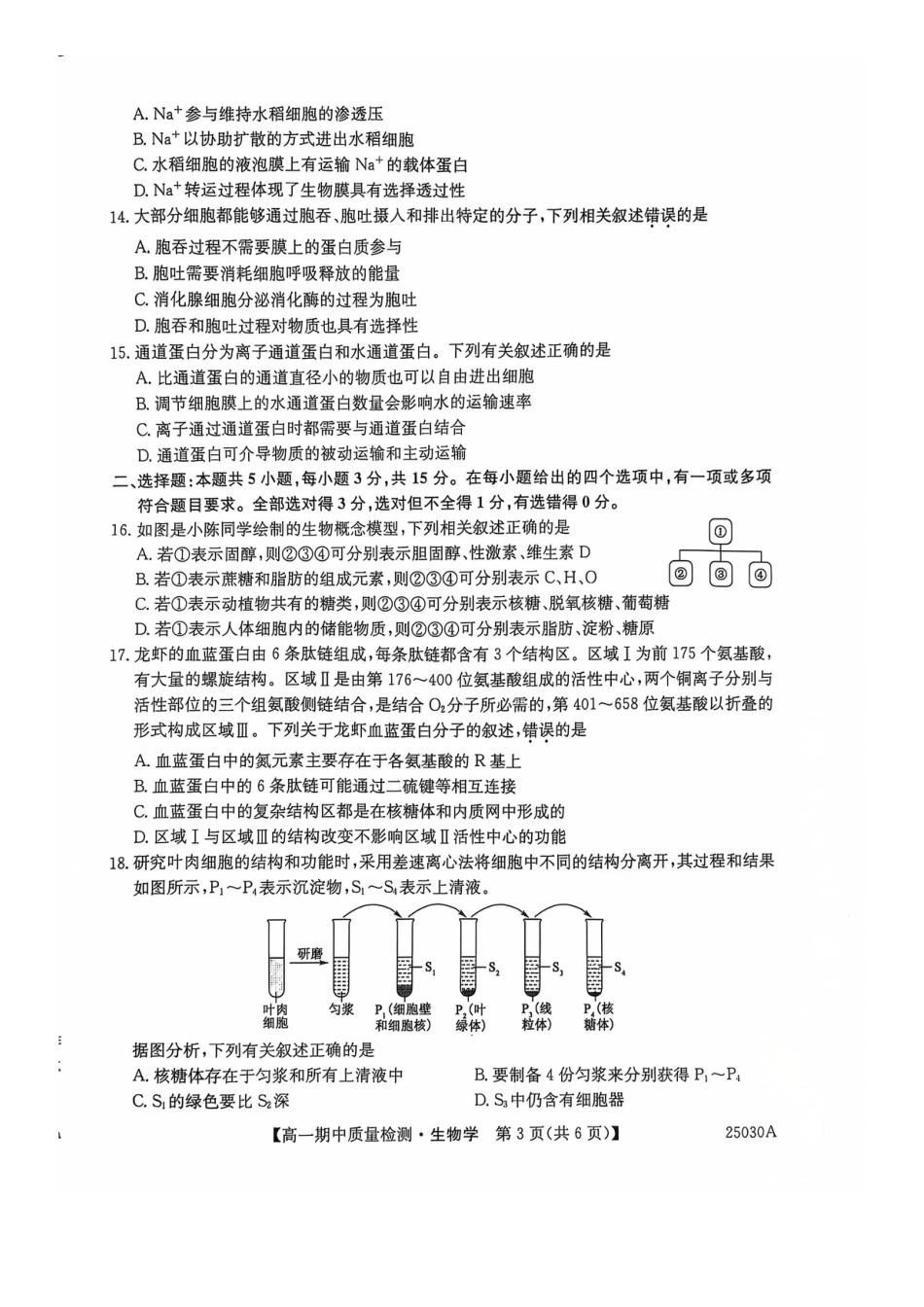 辽宁省锦州市某校2024-2025学年高一上学期期中质量检测生物试卷.docx_第3页