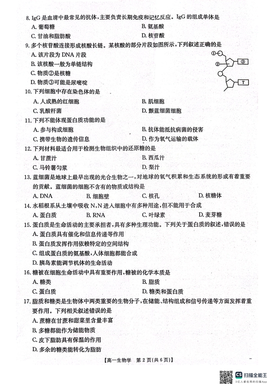 辽宁省辽阳市2024-2025学年高一上学期期中考试 生物 PDF版含答案.pdf_第2页
