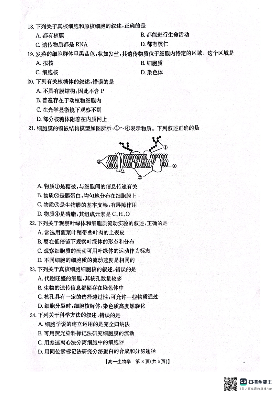 辽宁省辽阳市2024-2025学年高一上学期期中考试 生物 PDF版含答案.pdf_第3页